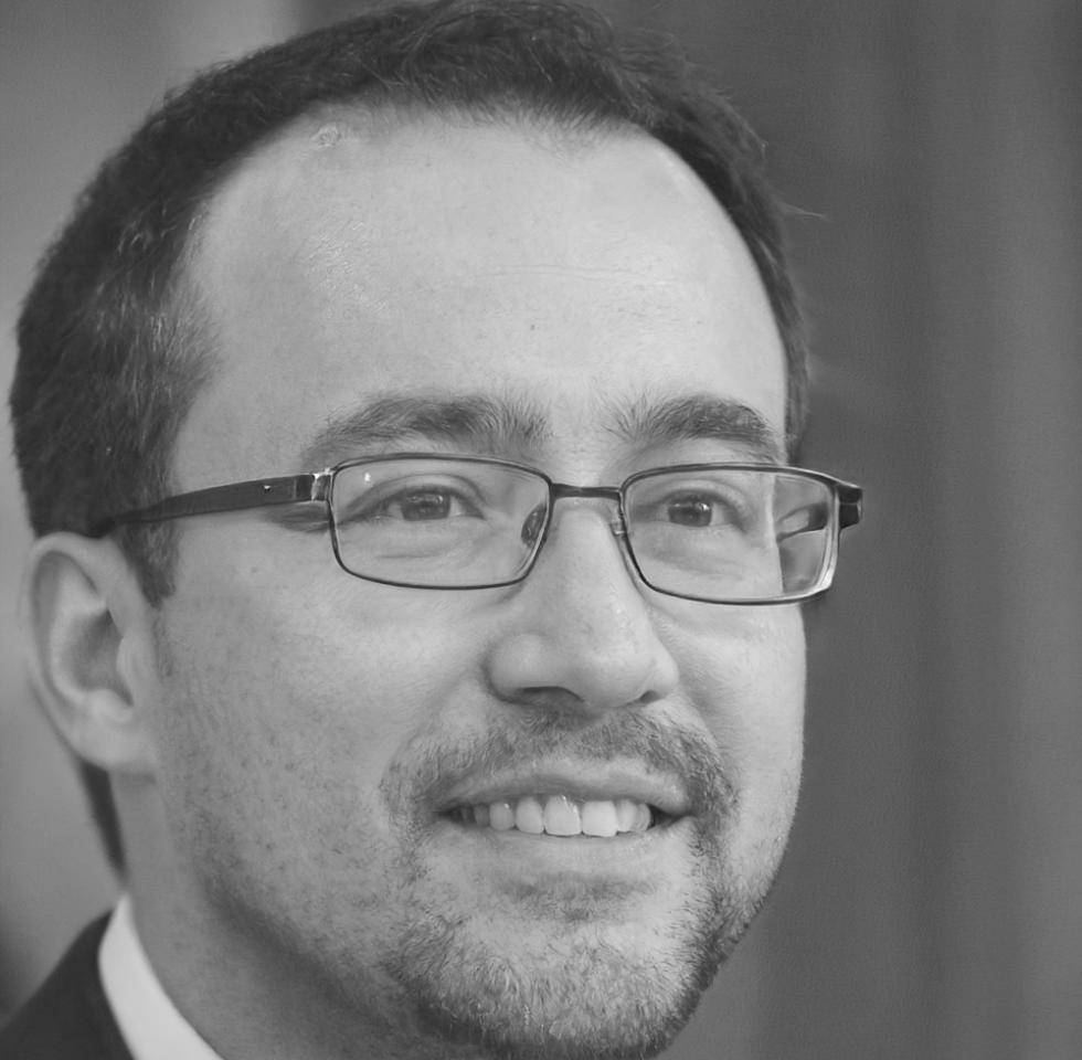 Ritratto del Prof. Dario Castellan